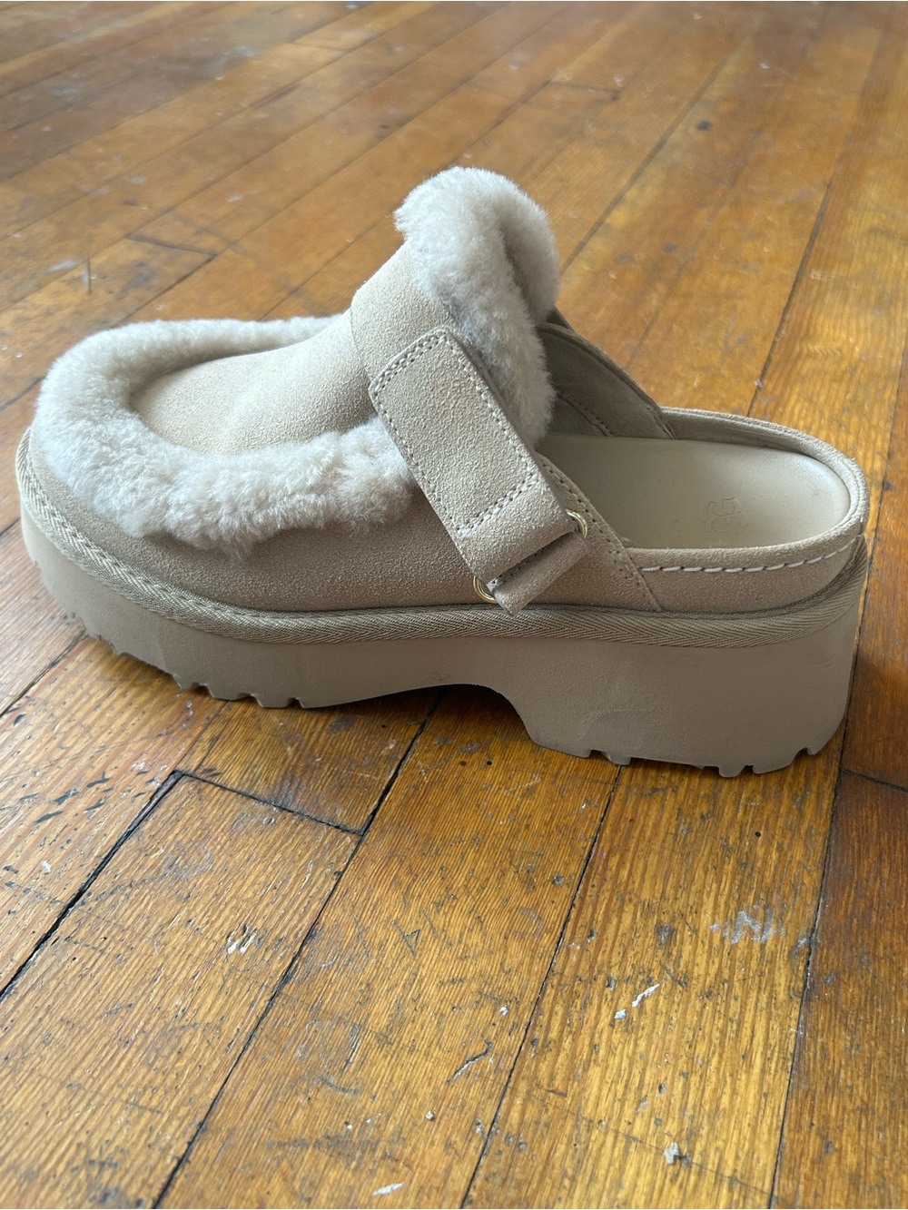 UGG Esmee Shearling-Lined Mule in Beige - Picture 5 of 5